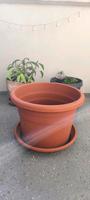 Pflanztopf Terracotta - DM= 35 cm Mecklenburg-Vorpommern - Neubrandenburg Vorschau