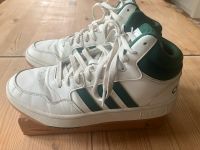 Adidas Hoops Sneaker weiß / grün Gr. 39 Nordrhein-Westfalen - Lemgo Vorschau
