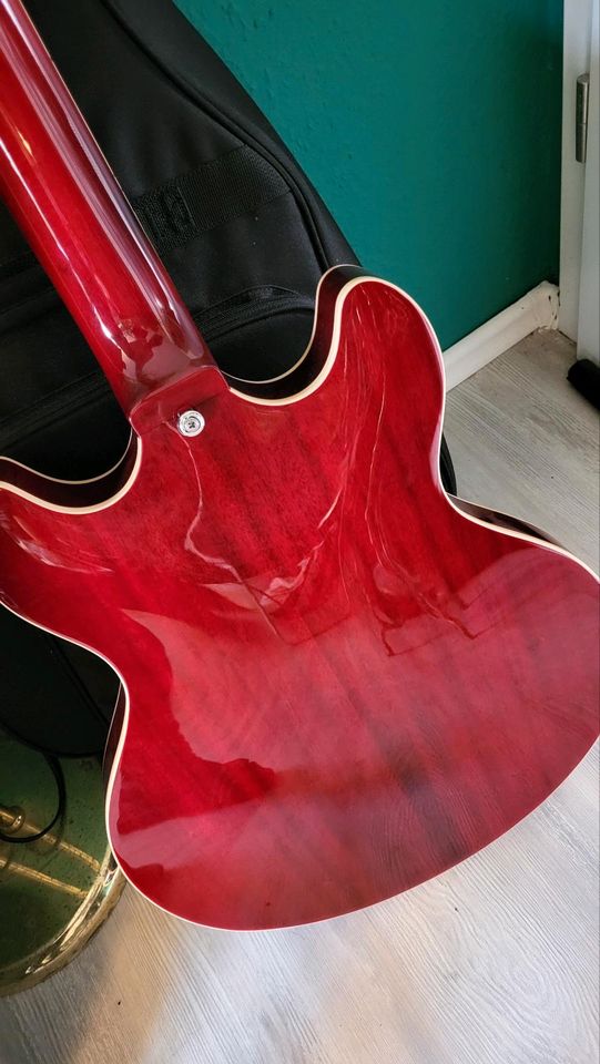 Gitarre,D'Angelico Premier DC12 Trans Wine SEHR SELTEN, 12 seitig in Witten