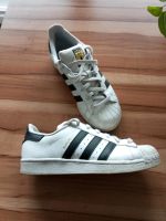 Adidas Superstar Sneakers Gr. 40 Hessen - Ludwigsau Vorschau