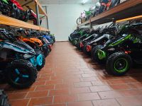 Kinderquad Atv Cobra Eco mini Quad 800W 36V GRATIS VERSAND Rheinland-Pfalz - Bad Breisig  Vorschau