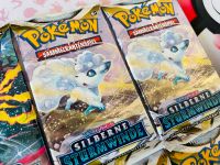 ⭐️(NEU) Pokémon silberne Sturmwinde Booster ungeöffnet deutsch Rheinland-Pfalz - Ludwigshafen Vorschau