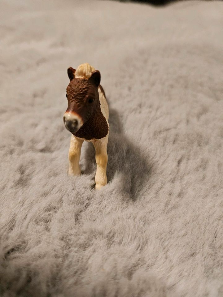 Schleich Pferd Shetland Pony Fohlen 13608. von 2005 in Braunschweig