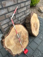 Birkenholzscheibe Tisch Holzscheibe Feuerholz Häfen - Bremerhaven Vorschau