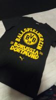 BVB T-Shirt Sachsen - Wyhratal Vorschau