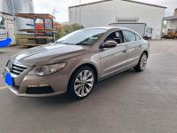 Volkswagen CC wenig km frischer TÜV Standheizung Scheckheft Berlin - Reinickendorf Vorschau