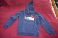 Puma Pullover/Sweatshirt in der Gr.152 Münster (Westfalen) - Centrum Vorschau