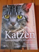 Orru-Benterbusch, Katzen Seelengefährten & Herzeroberer Niedersachsen - Einbeck Vorschau