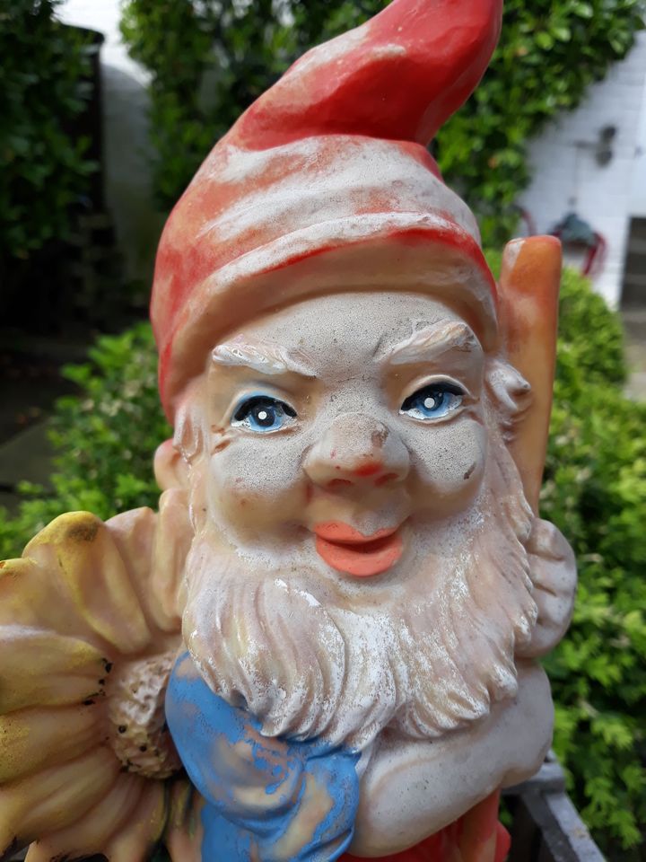 Gartenzwerg „Sunny“ garden gnome Zwerg  Garten Deko   Einsamer G in Hannover