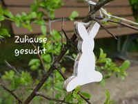 Zuhause gesucht Bayern - Mömbris Vorschau