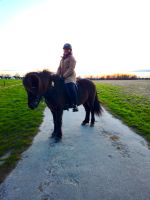 Reitbeteiligung  (Reiter sucht Pferd) in Essen und Umgebung Essen - Steele Vorschau