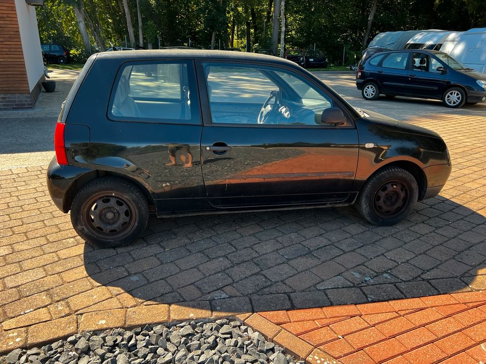 Schlachtfest VW Lupo 1.0 ANV ESY LO41 schwarz Ersatzteile in Sarstedt