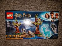 Lego® Harry Potter™ 75945 75948 75951 75953 75954 75955 75967 NEU Nordrhein-Westfalen - Oberhausen Vorschau
