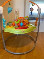 Fisher-Price Jumperoo Nürnberg (Mittelfr) - Röthenbach b Schweinau Vorschau