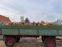 Brennholz Kaminholz Kiefer Niedersachsen - Meinersen Vorschau