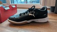 Puma Tenaz Brandenburg - Potsdam Vorschau