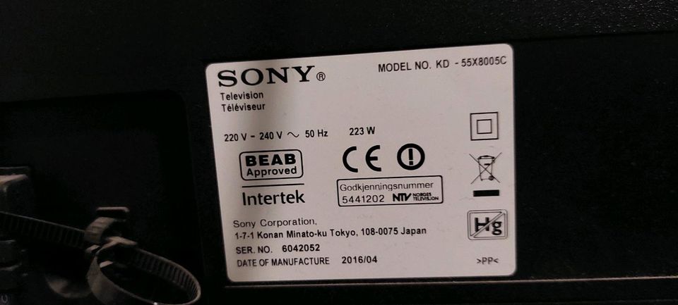 Sony KD-55X8005C 55 Zoll 4K Smart TV + Govee Hintergrunddbeleucht in Neudenau 