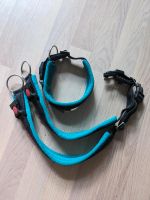 Sledwork Halsband - Racing Collar Arctic Click Niedersachsen - Ritterhude Vorschau