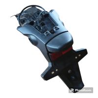 Yamaha Tenere 700 T7 Kennzeichenhalter Rheinland-Pfalz - Wilgartswiesen Vorschau