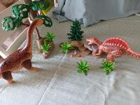 Playmobil Dinosaurier Nordrhein-Westfalen - Essen-Haarzopf Vorschau