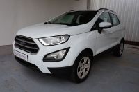 Ford EcoSport 1,0 EB Navi Shz Lhz PDC Sachsen - Frankenberg (Sa.) Vorschau