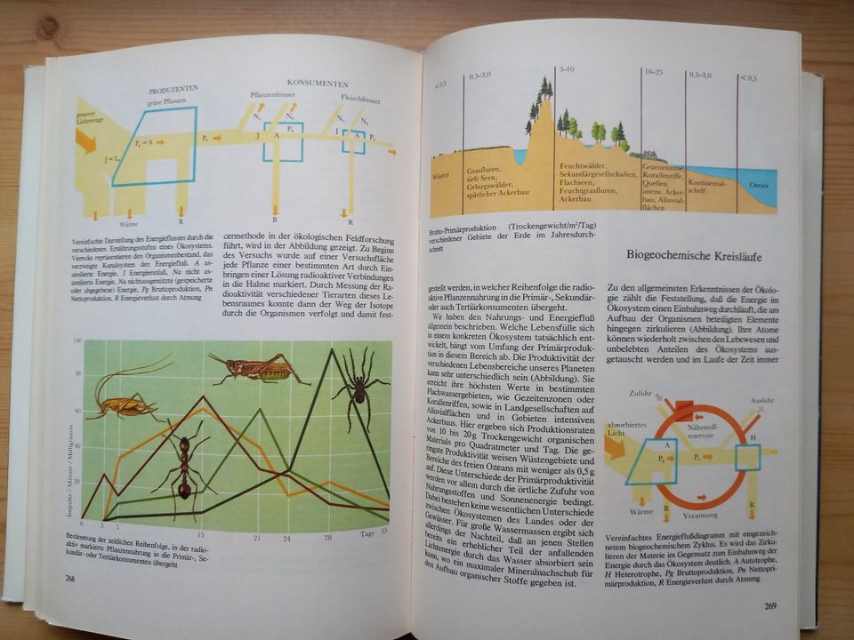 Das Bild der modernen Biologie in Dresden