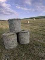 Heu/Heu Rundballen. Hasen,Merrschweinchen , Ziegen Schafe Pferde Sachsen - Oelsnitz / Vogtland Vorschau