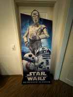 Star Wars - der Aufstieg Skywalkers - Kinoaufsteller Saarland - St. Ingbert Vorschau