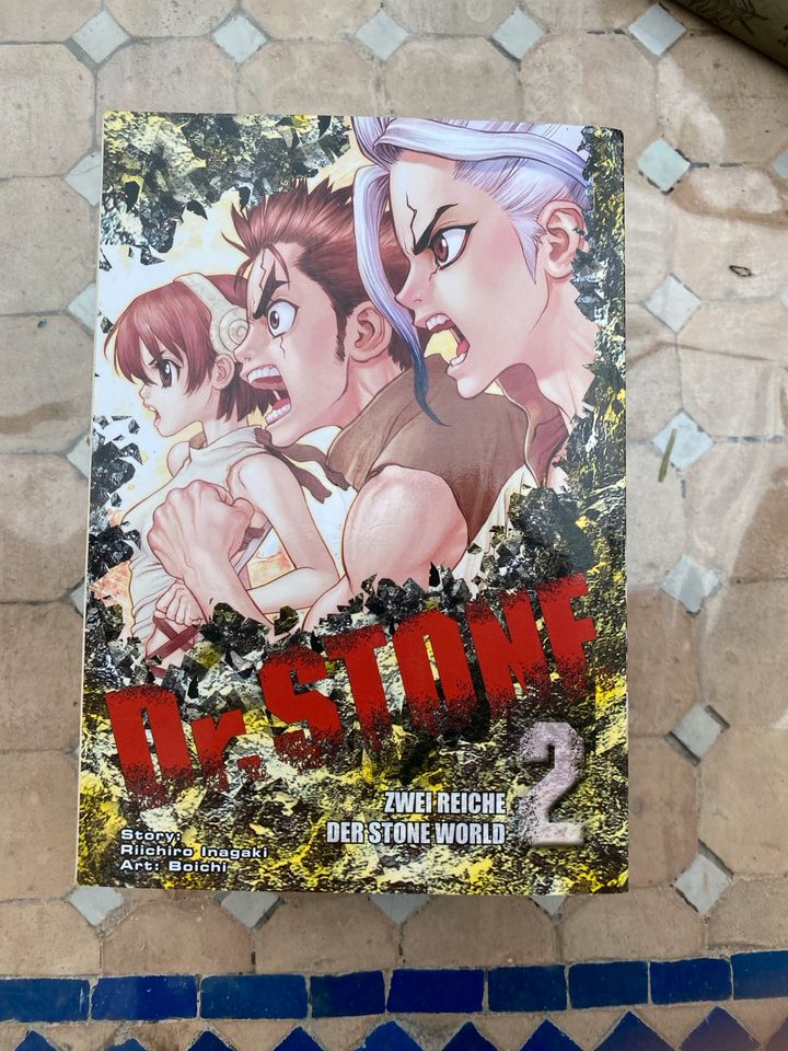 Dr Stone Mangas in Potsdam