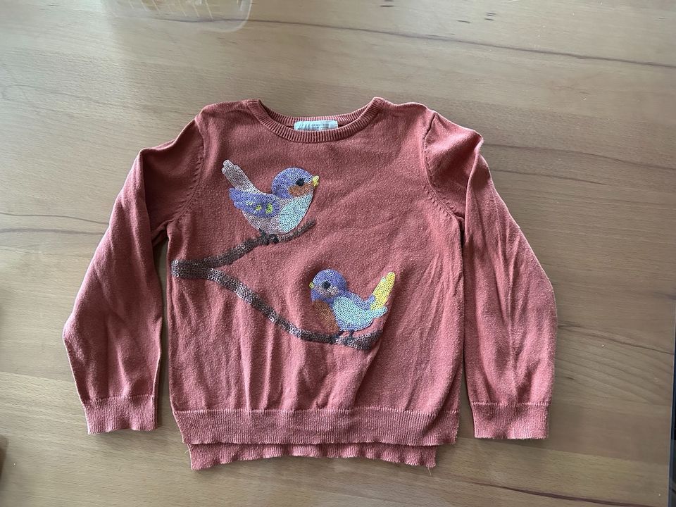 Pullover Mädchen Größe 98/104 H&M Strickpullover Pailletten Vogel in Willingshausen