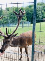 Kitafrei • Spielplatztreff • Dorf • Spielkameraden • Spieltreff Nordrhein-Westfalen - Möhnesee Vorschau