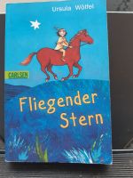 Fliegender Stern . Grundschule .Buch Wuppertal - Oberbarmen Vorschau