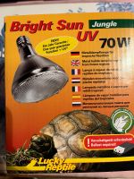 Bright Sun 70W Jungle Lampe für Terrarium Chamäleon Schleswig-Holstein - Altenholz Vorschau