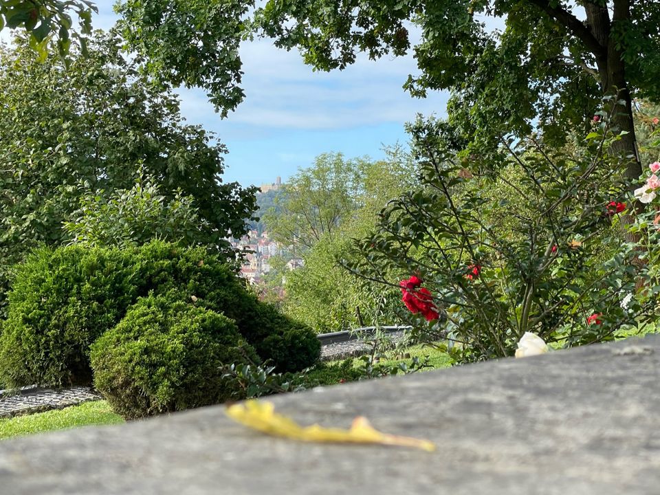 Kleines modernes Gartenhaus Vario mit großem sehr schön angelegtem Grundstück und herrlichem Fernblick in ruhiger Lage in Eisenach