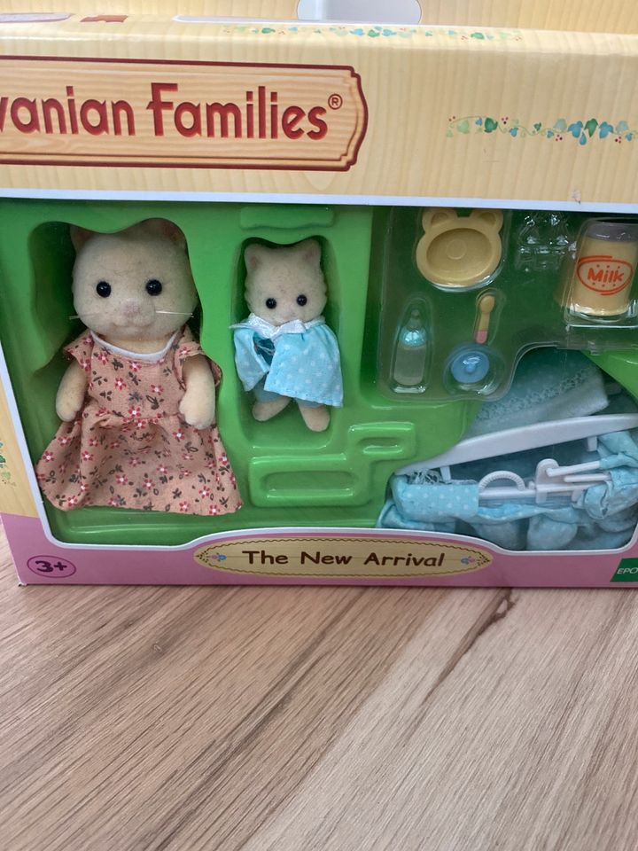 Sylvanian Families > the new arrival in Wangen im Allgäu