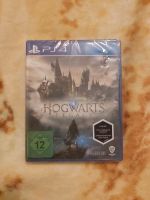 Hogwarts Legacy PS4 Sachsen - Hartmannsdorf Vorschau