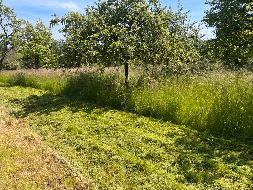 Mähen/Mulchen Weinstadt und Umgebung in Weinstadt