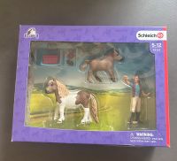 Schleich 42362 Pferdepflegerin mit Shettys Pony Duisburg - Rumeln-Kaldenhausen Vorschau