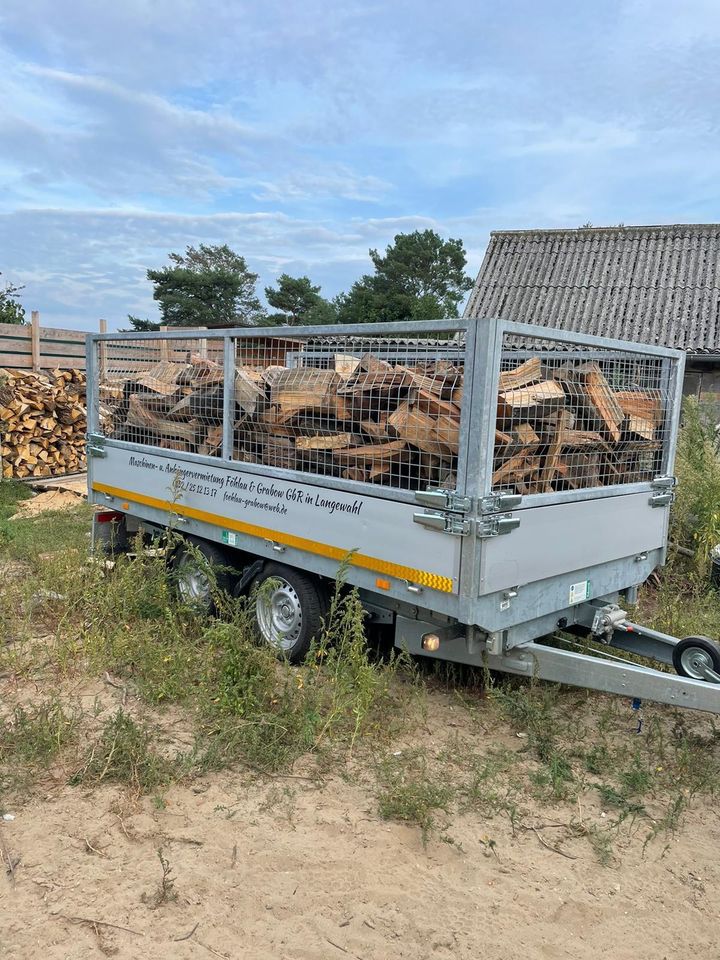 Brennholz Kaminholz 25cm Palette BigBag Anhänger lose in Fürstenwalde (Spree)
