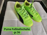 Puma Fußballschuhe gr.36 ohne Stollen Bonn - Auerberg Vorschau