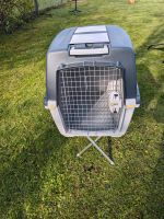 Hundetransportbox Trixie Gulliver Größe 5- 6 Monate alt Schleswig-Holstein - Achtrup Vorschau