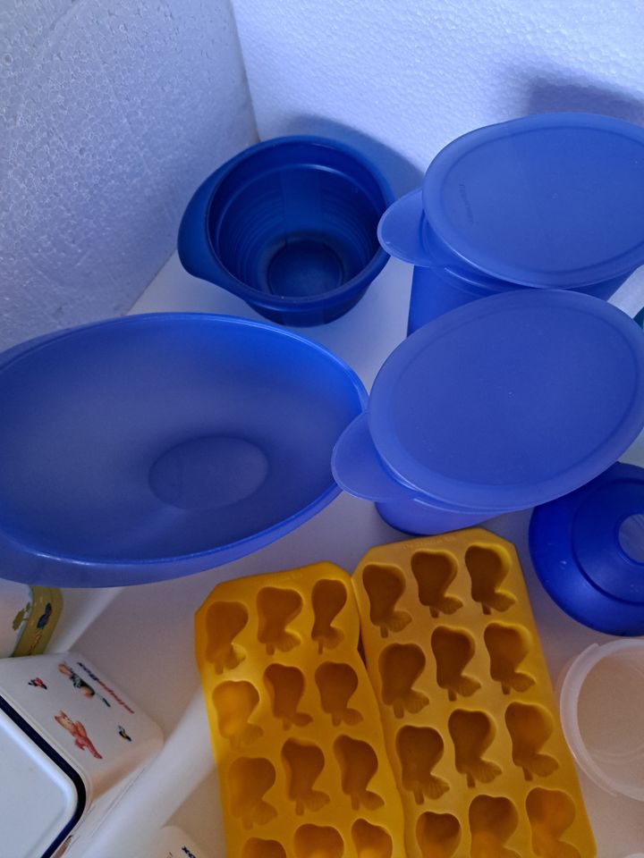 15 Teile Konvolut Aufbewahrung Dosen Tupperware Lekue kickbox Hip in Beverungen