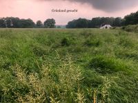 Grünland gesucht Niedersachsen - Großenkneten Vorschau
