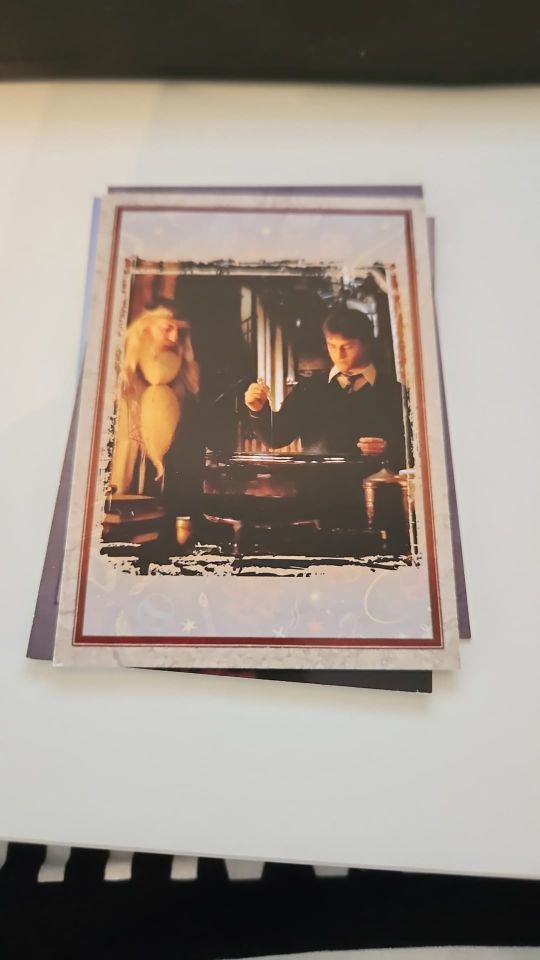 Panini Harry Potter Evolution Trading Cards in Frankenthal (Pfalz)