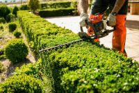 Biete Mäharbeiten und Gartenpflege an Sachsen-Anhalt - Harzgerode Vorschau