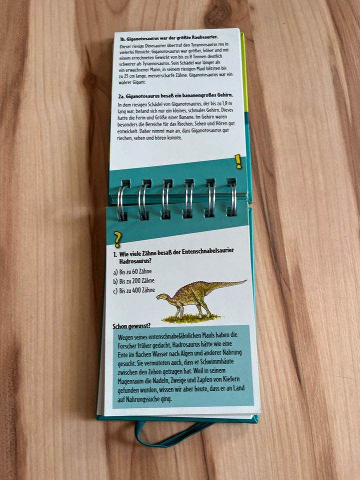 Dino-Quiz Rekorde Moses-Verlag in Hartmannsdorf