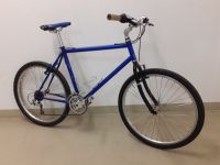 Fahrrad MTB 26 Zoll Retro Bike Niedersachsen - Wedemark Vorschau