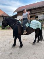 Reitbeteiligung auf 2 Freizeit-Pferden Kr. Passau - Passau Vorschau