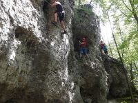 Höhenglücksteig Klettersteigkurs Frankenjura 30.07.24 Bayern - Pommelsbrunn Vorschau