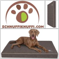 Knuffelwuff Orthopädische Hundematte Palomino L-XXXL braungrau Hessen - Calden Vorschau